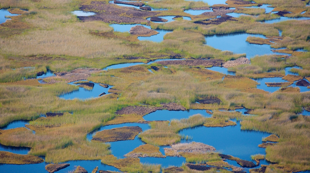 Ranu Kau which includes wetlands