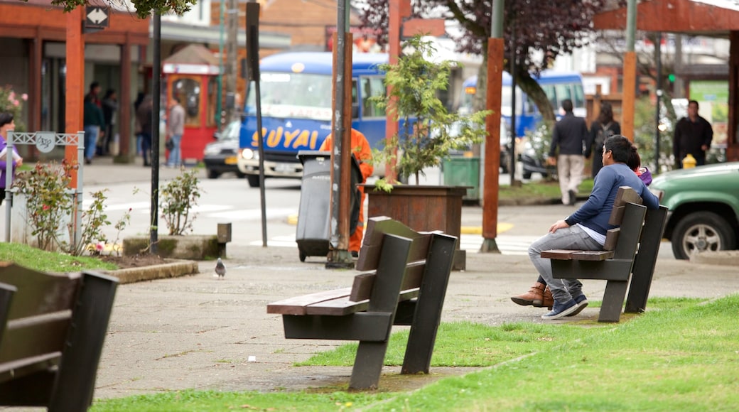 Place d\'armes de Puerto Varas qui includes jardin aussi bien que petit groupe de personnes