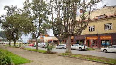 Plaza de Armas de Puerto Varas que incluye un jardín