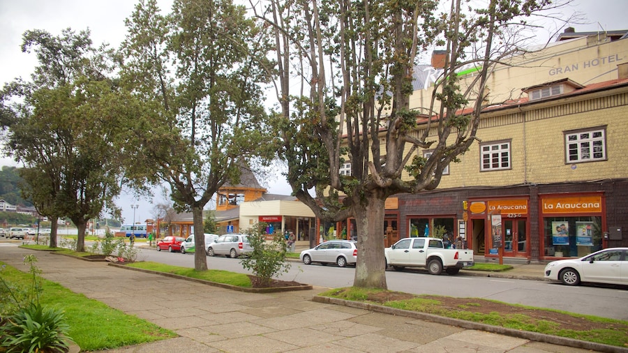 Puerto Varas Plaza de Armas og byder på en have