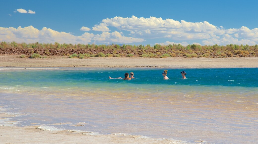 Laguna Cejar ofreciendo un lago o abrevadero y escenas tranquilas y también un pequeño grupo de personas