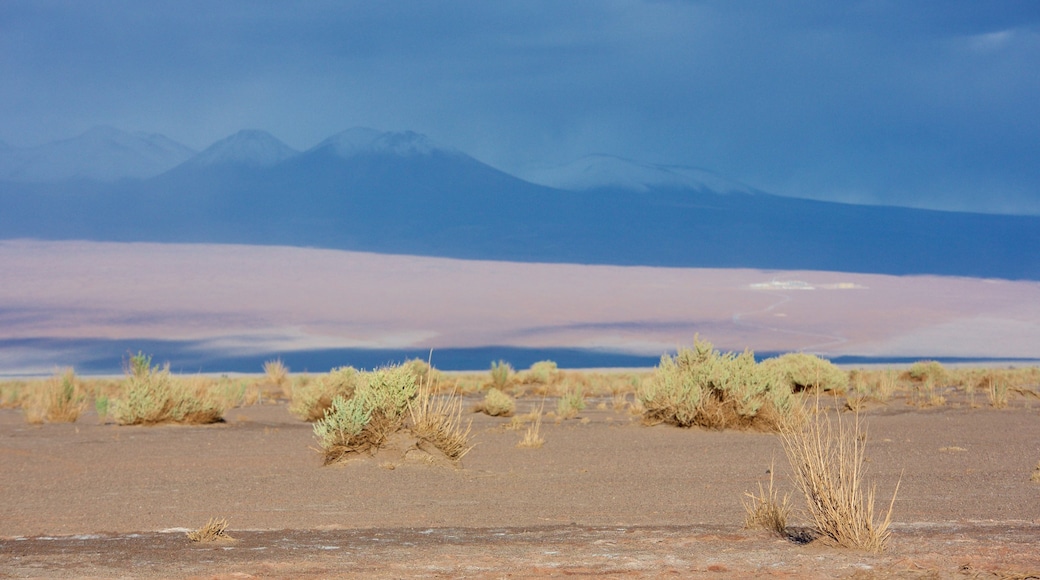 Cejar Lagoon