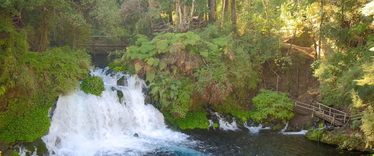 Ojos del Caburga showing a cascade, rainforest and a lake or waterhole