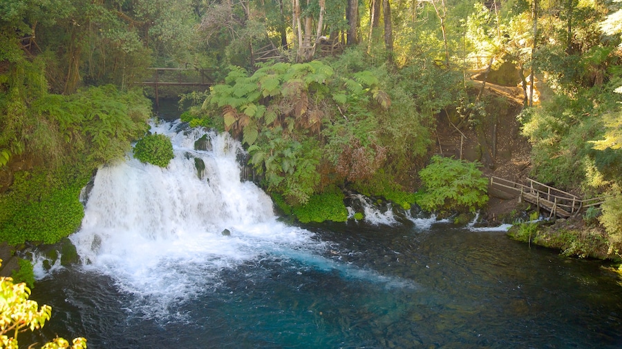 Ojos del Caburga featuring a cascade, a lake or waterhole and rainforest