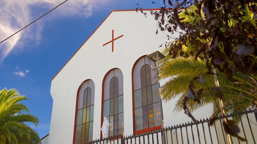 Catedral de Villarrica featuring a church or cathedral