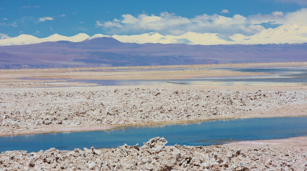 Chaxa Lagoon featuring a lake or waterhole, landscape views and tranquil scenes