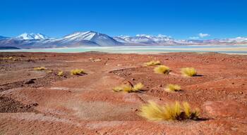 San Pedro de Atacama showing landscape views, a lake or waterhole and tranquil scenes