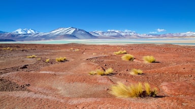 San Pedro de Atacama showing landscape views, a lake or waterhole and tranquil scenes