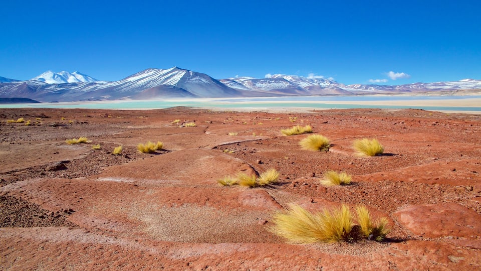San Pedro de Atacama montrant lac ou étang, scènes tranquilles et panoramas