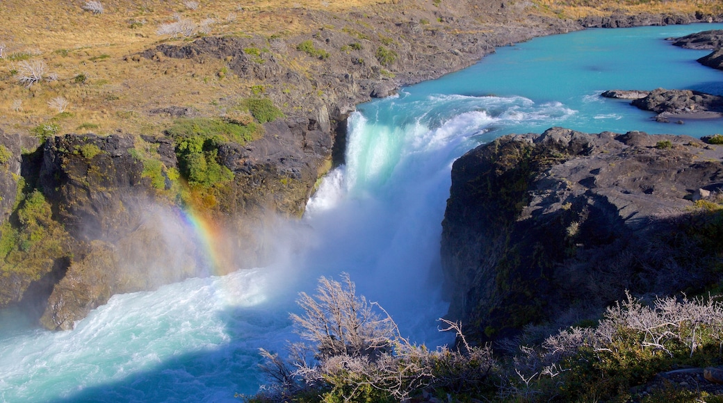 Torres Del Paine bevat een cascade en een rivier of beek