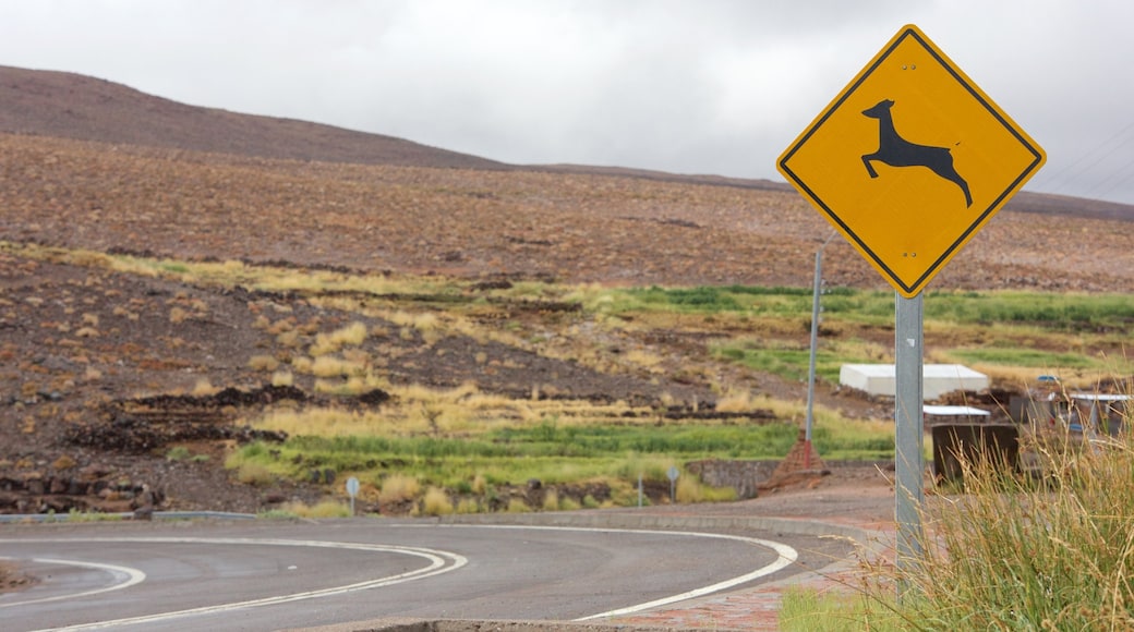 Antofagasta que incluye señalización y situaciones tranquilas