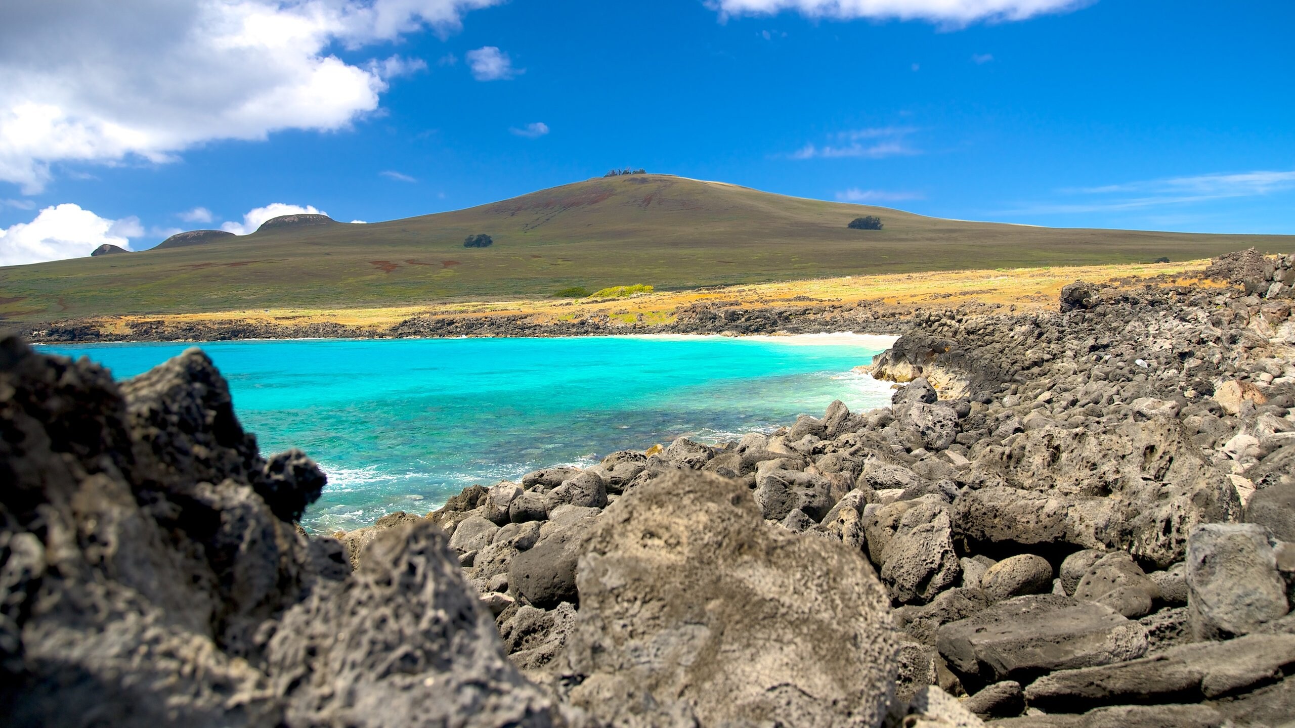 Chile easter island travel packages 60 photos - Arptravels.com