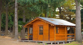 Piedras Blancas toont een huis en bos