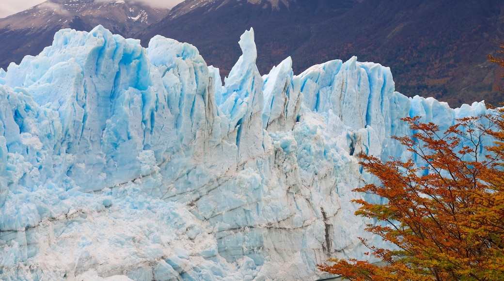 Perito-Moreno-Gletscher