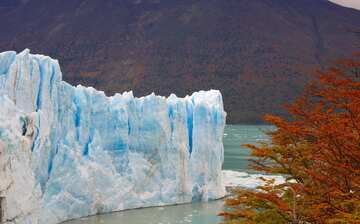 Visit Perito Moreno Glacier In El Calafate Expedia Visit Perito Moreno Glacier In El Calafate Expedia