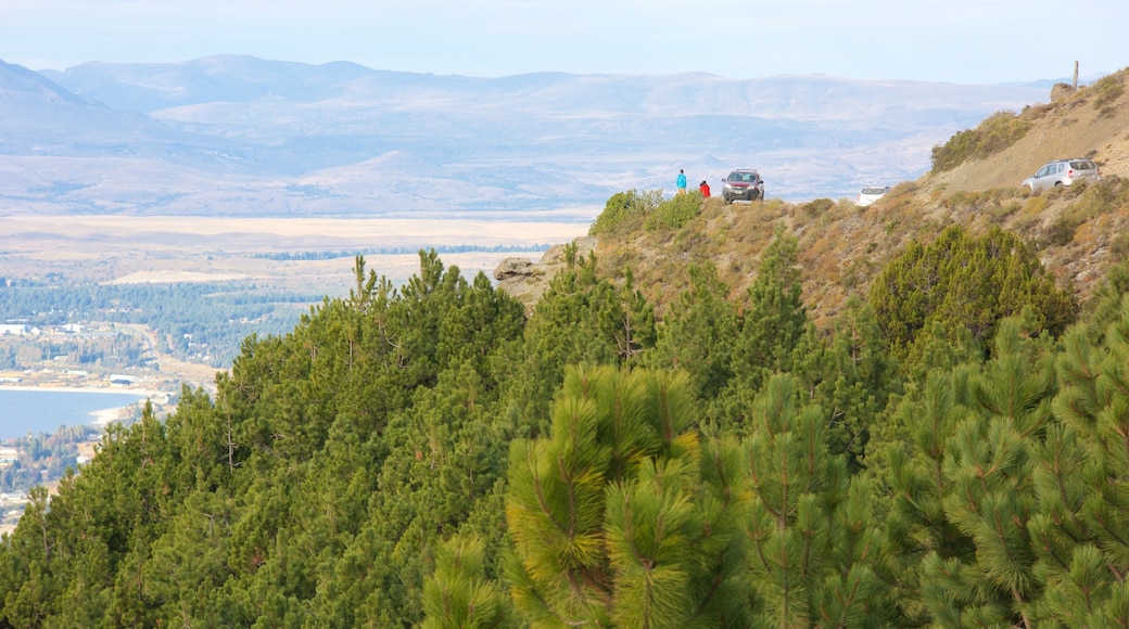 Cerro Otto showing tranquil scenes and forests