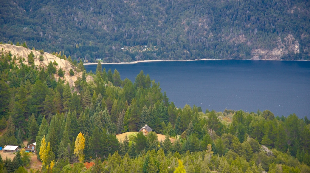 Cerro Campanario which includes tranquil scenes, a lake or waterhole and forest scenes