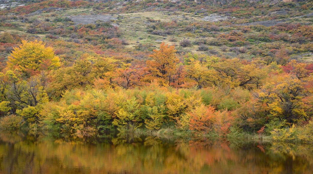 El Calafate which includes autumn colours, tranquil scenes and a pond