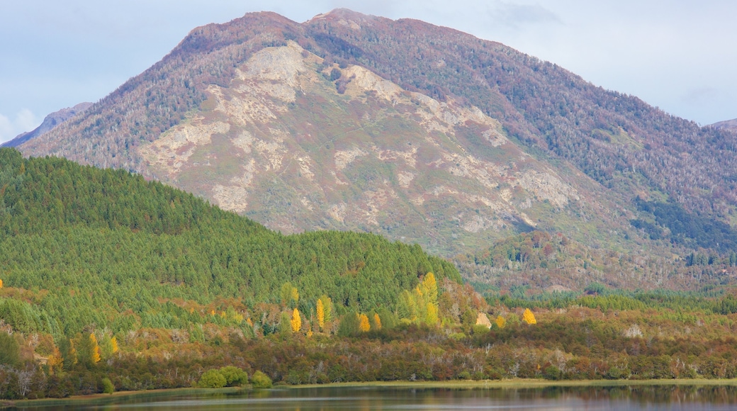 San Martín de los Andes mostrando un lago o espejo de agua, escenas tranquilas y imágenes de bosques