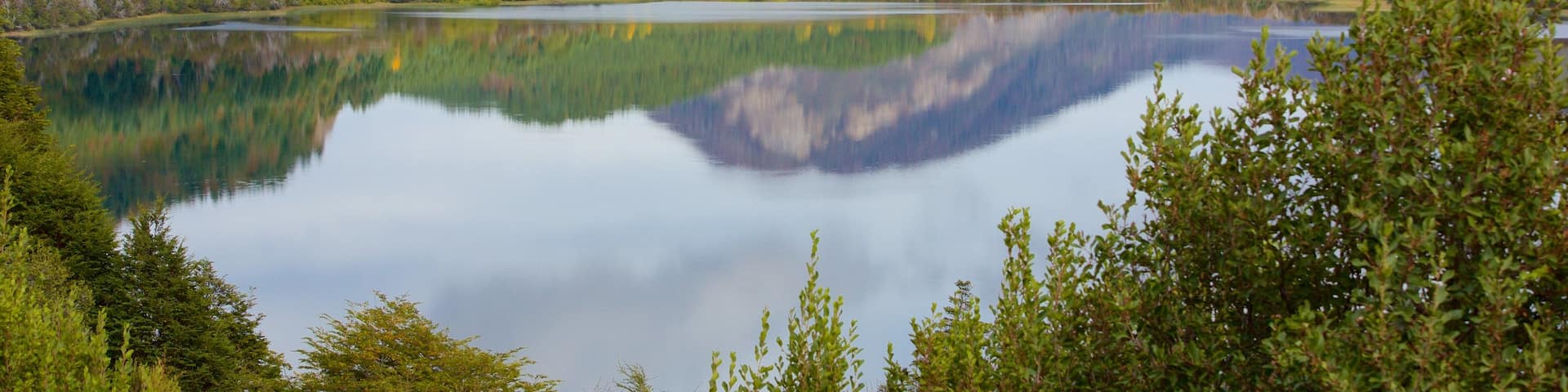 San Martin de los Andes which includes forest scenes, a lake or waterhole and mountains