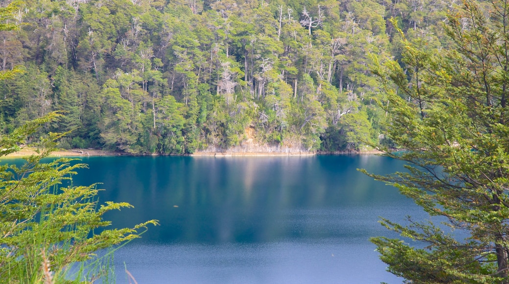 San Martín de los Andes ofreciendo un lago o espejo de agua, escenas tranquilas y bosques