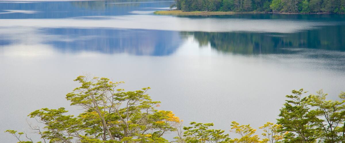 San Martin de los Andes showing a lake or waterhole, tranquil scenes and forests