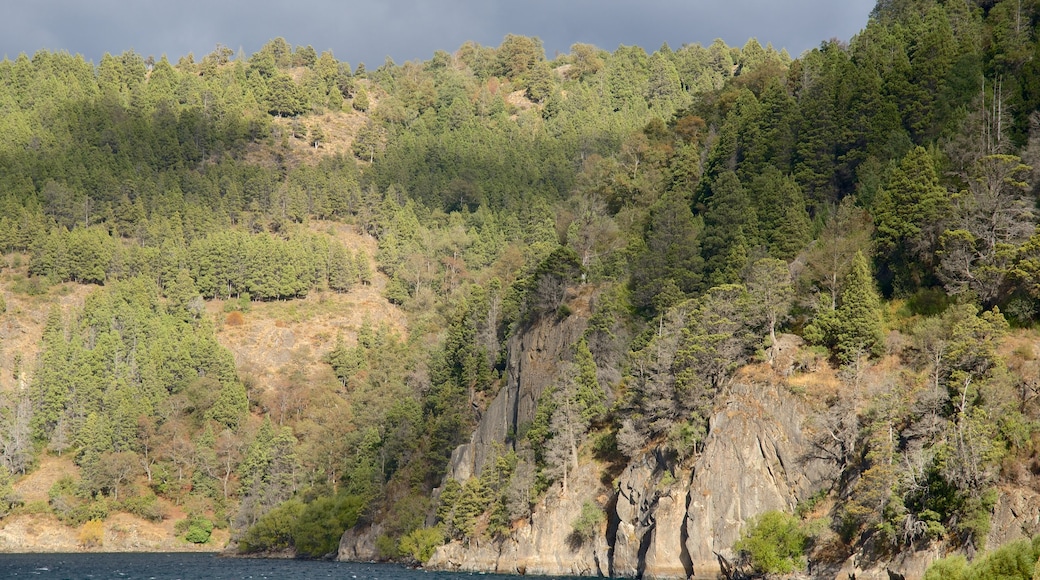 San Martin de los Andes som visar stillsam natur, en sjö eller ett vattenhål och skogslandskap