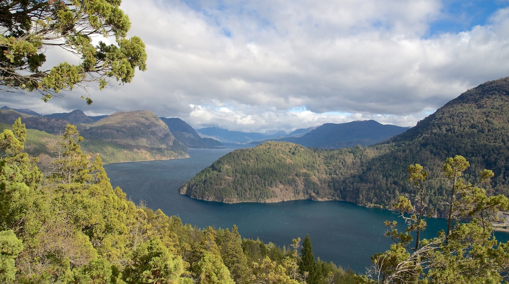 San Martín de los Andes mostrando escenas tranquilas, vista panorámica y imágenes de bosques