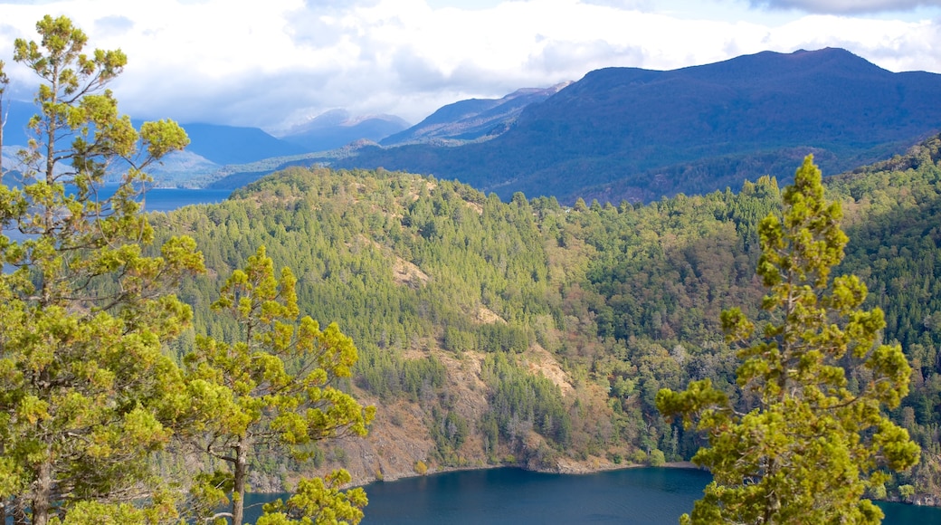 San Martin de los Andes showing forests, tranquil scenes and a lake or waterhole