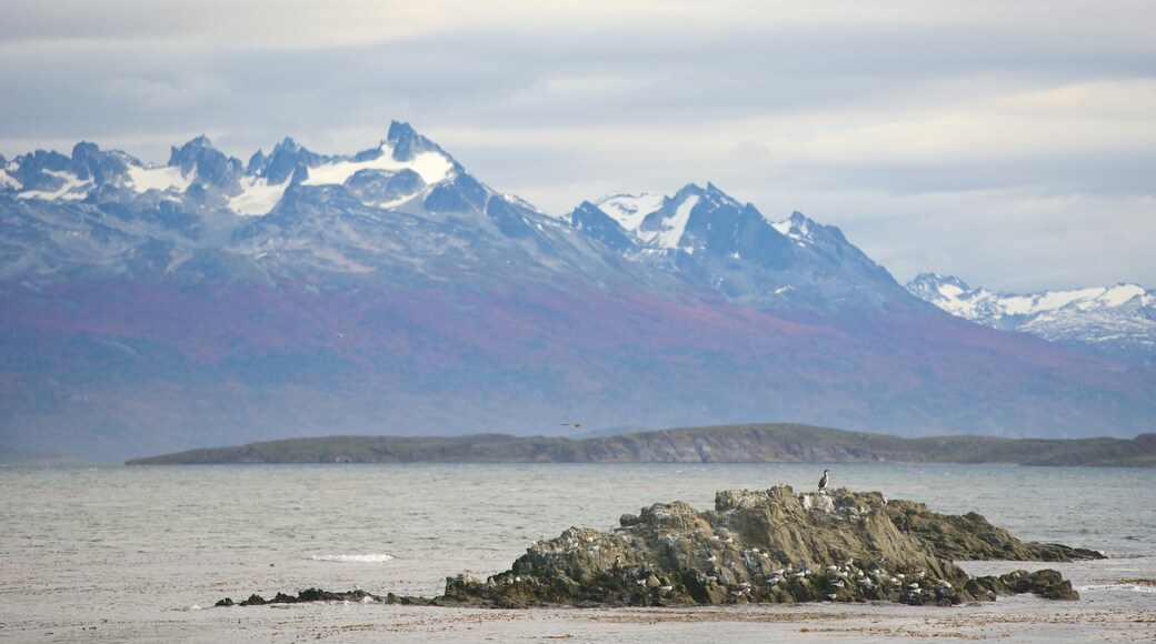 Région de Patagonie montrant montagnes et lac ou étang