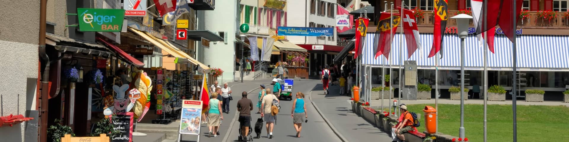 Wengen showing a small town or village