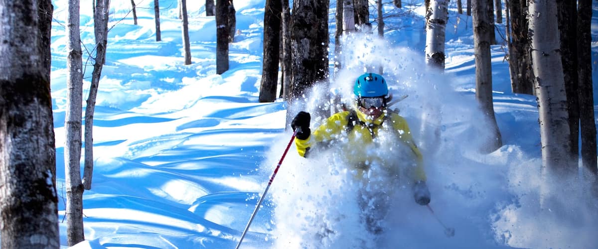 Le Massif de Charlevoix johon kuuluu metsät, hiihto ja lunta