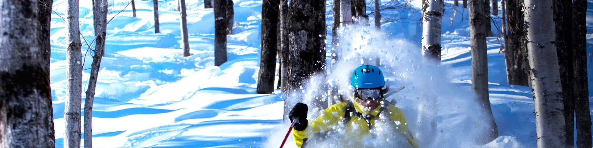Le Massif das einen Waldmotive, Skifahren und Schnee
