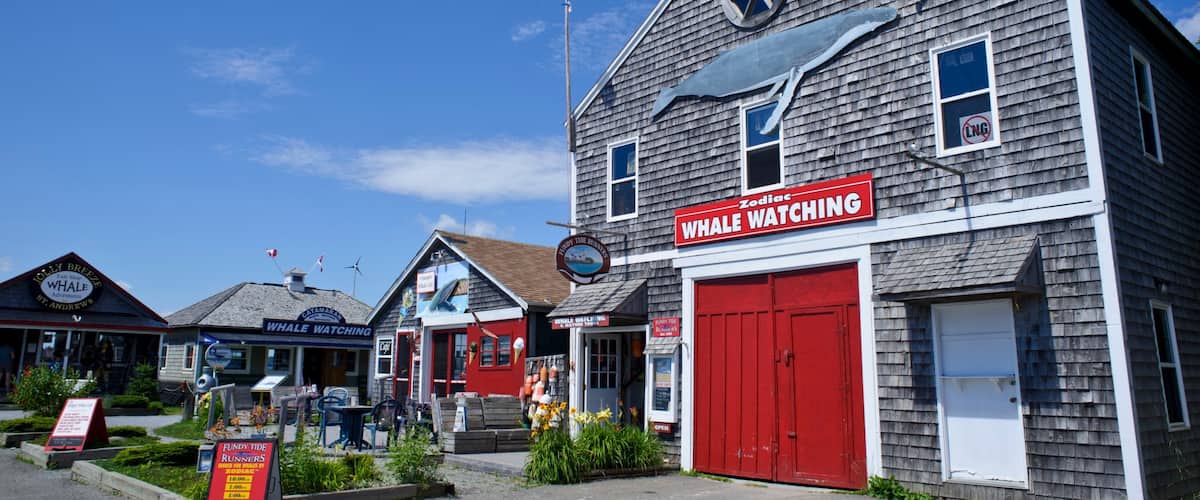 セント アンドリューズ