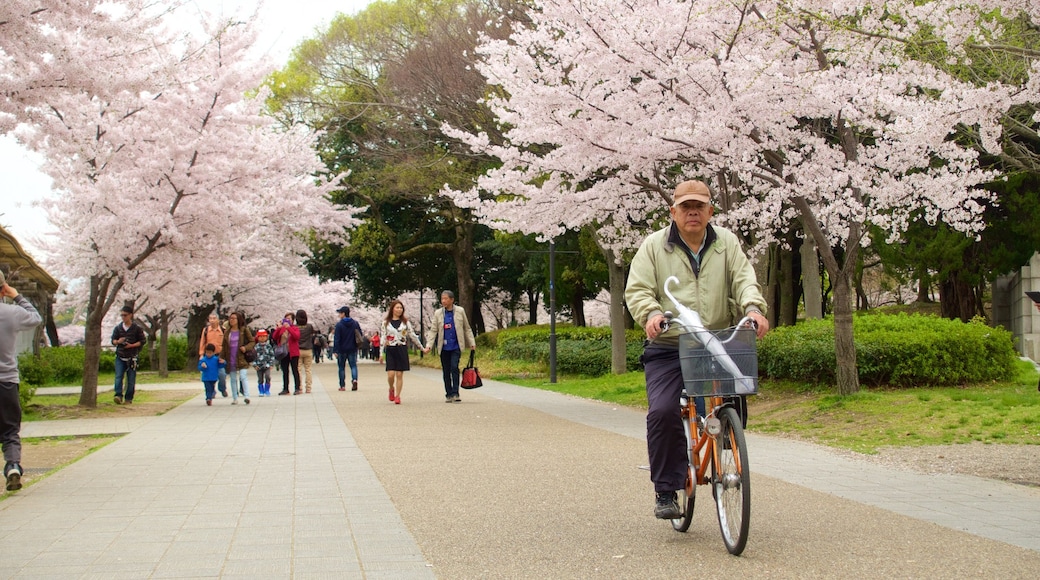 Osaka which includes flowers and a park as well as a small group of people