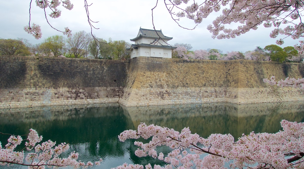 Osaka Castle showing chateau or palace, a river or creek and heritage elements