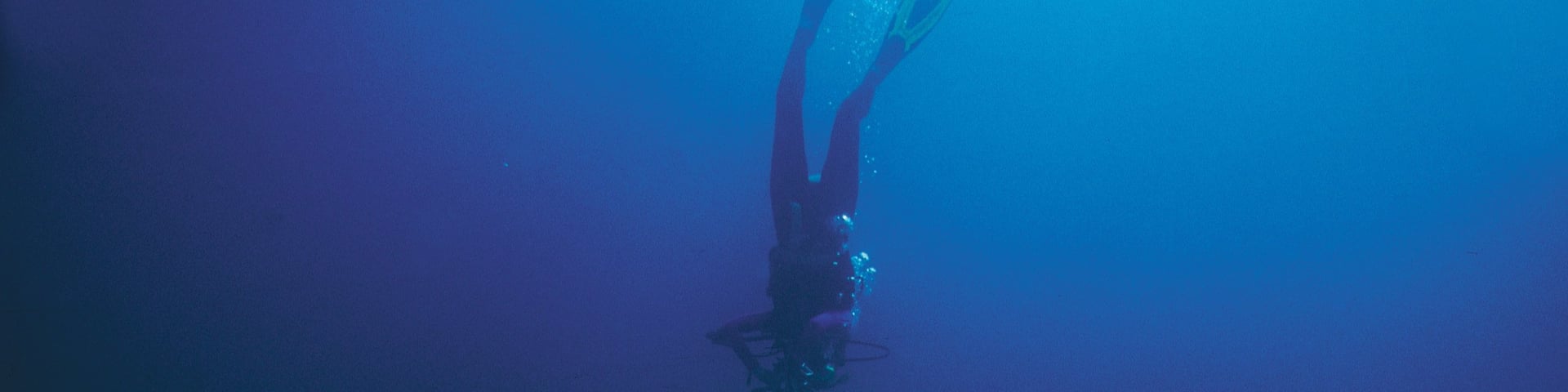 Solomon Islands showing scuba