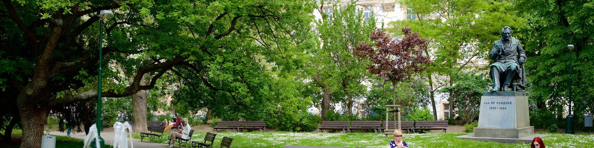 Charles Square featuring a park and a fountain