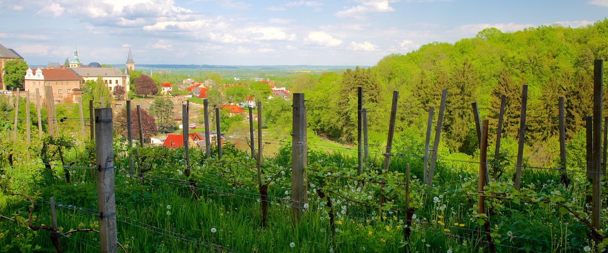 Kutna Hora featuring farmland