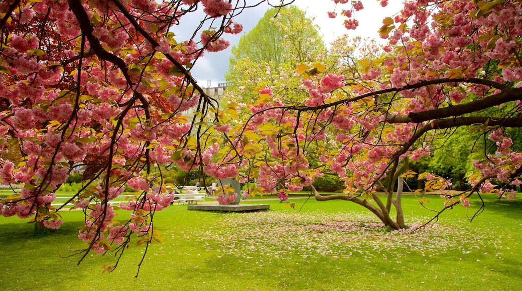 Karlovy Vary mostrando flores e um parque