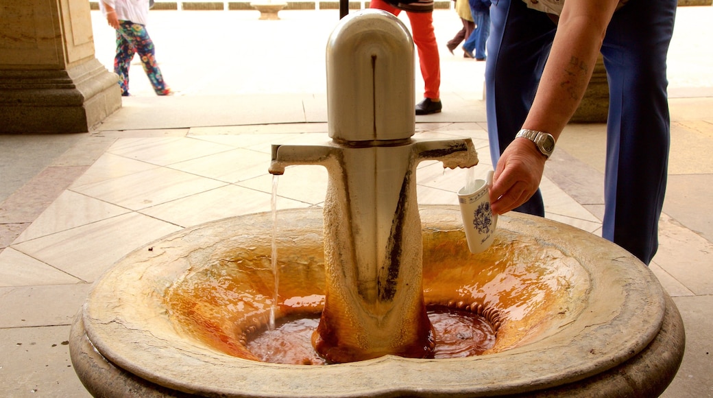 Mlýnská kolonáda mettant en vedette fontaine