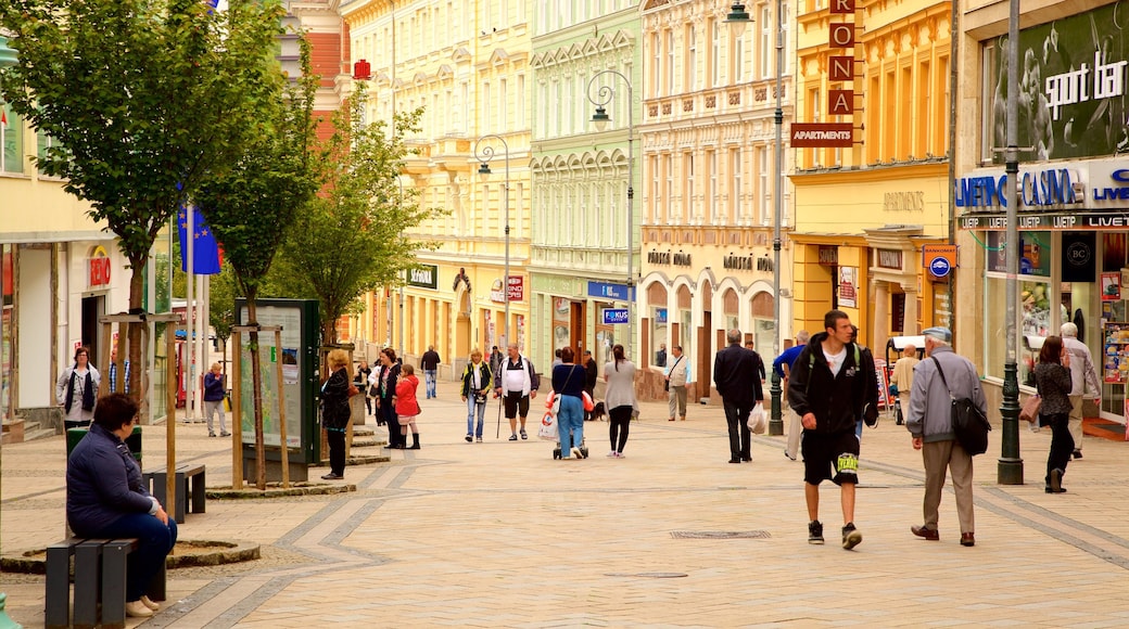 Karlovy Vary mostrando una ciudad y escenas urbanas y también un gran grupo de personas