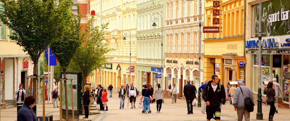 Karlovy Vary welches beinhaltet Stadt und Straßenszenen sowie große Menschengruppe