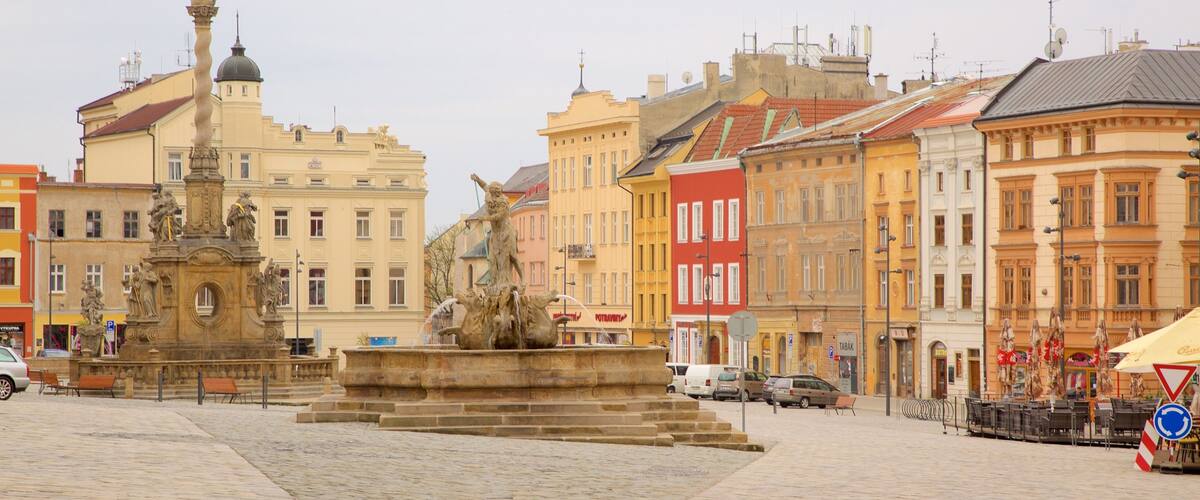 Olomouc ofreciendo una ciudad y un parque o plaza