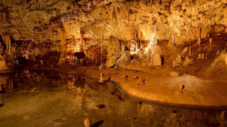 Punkva Caves featuring caves