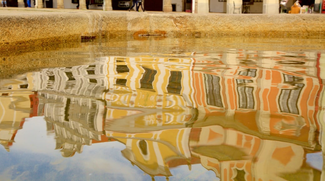 Telc showing a pond