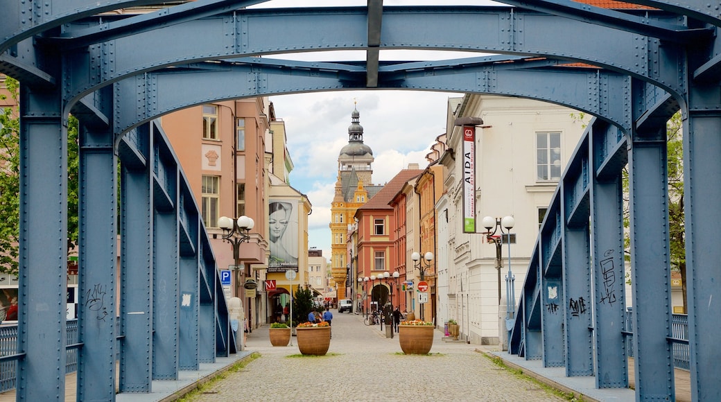 Ceské Budejovice ofreciendo una ciudad y un puente