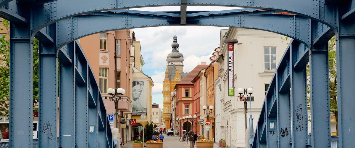 Ceské Budejovice ofreciendo una ciudad y un puente