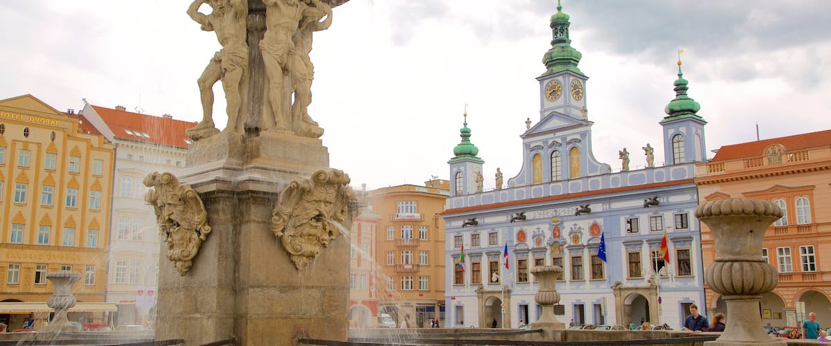 Ceske Budejovice which includes a fountain and a city