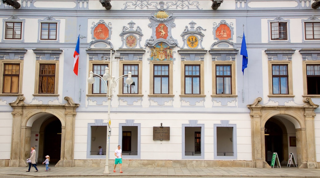 Ceske Budejovice showing a city